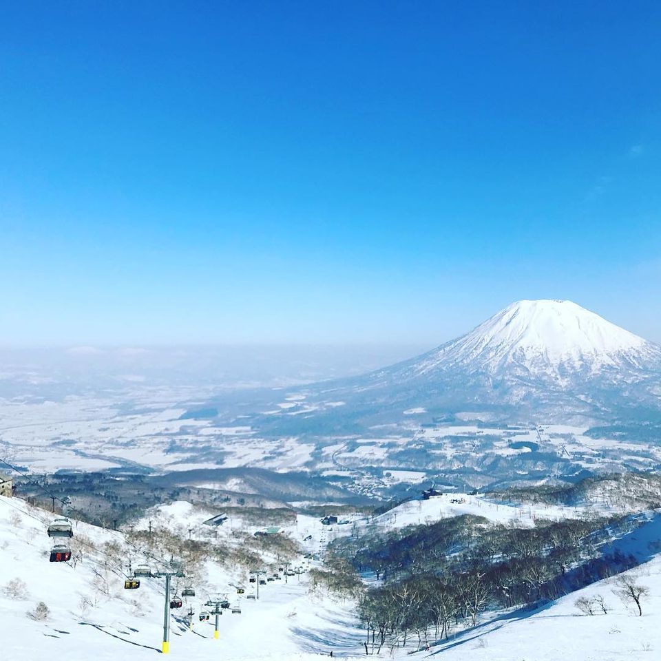 niseko snow tour